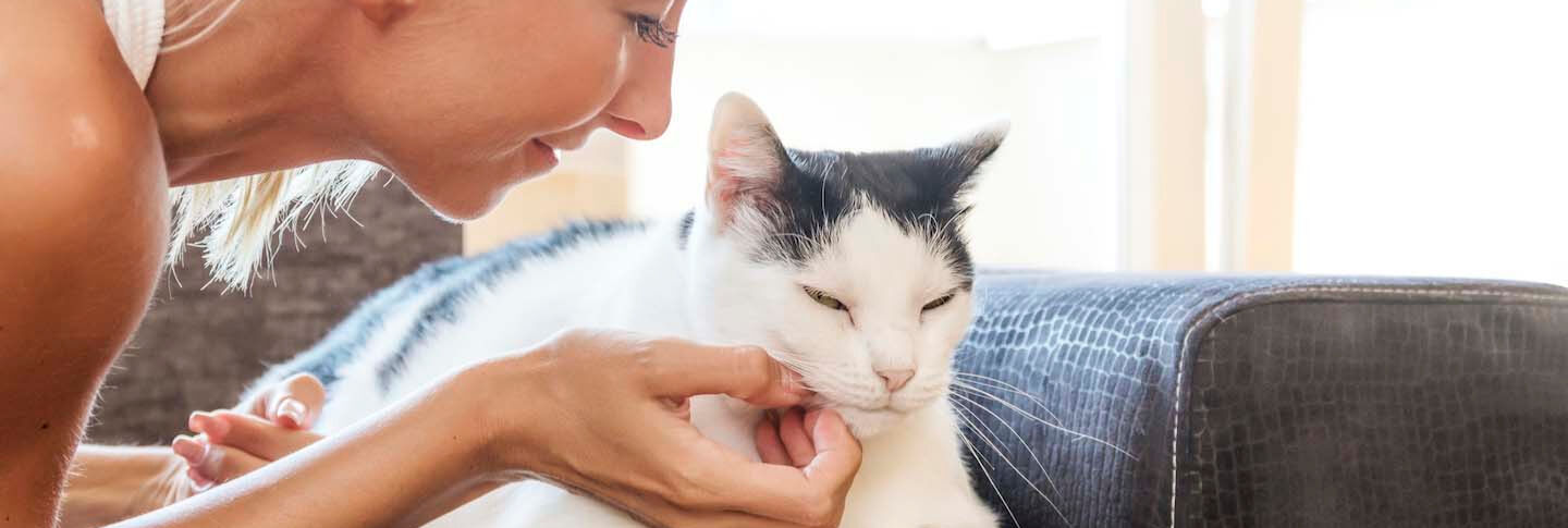 Conosci i benefici di avere un gatto?