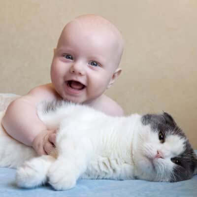 Image Link For NEONATI E GATTI: REGOLE PER UNA BUONA CONVIVENZA
