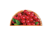Ar&aacute;ndano