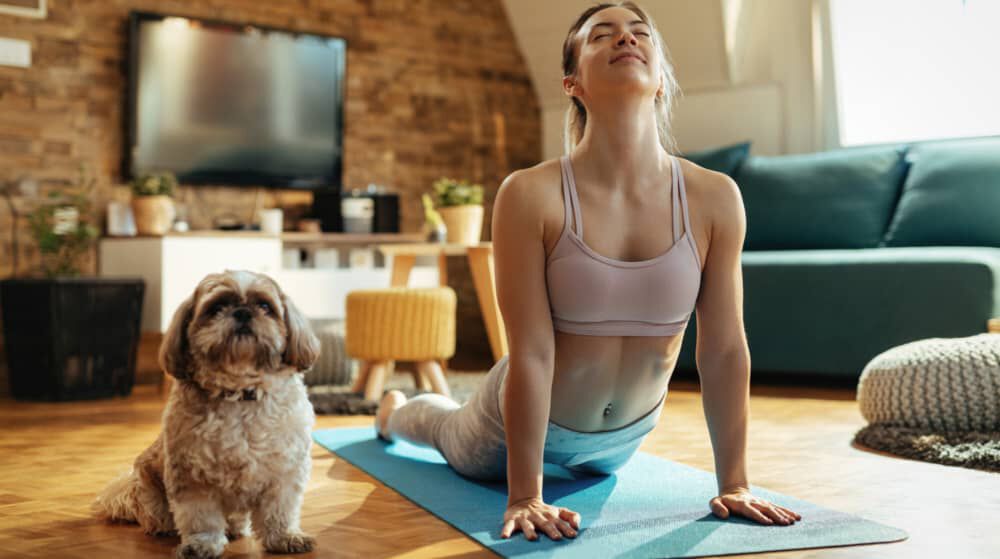 Image Link For IL DOGA, YOGA PER I CANI: COS&rsquo; E&rsquo; E COME SI FA