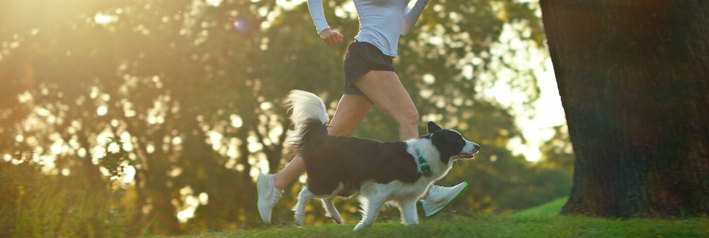 Naturalmente Activos - Perro