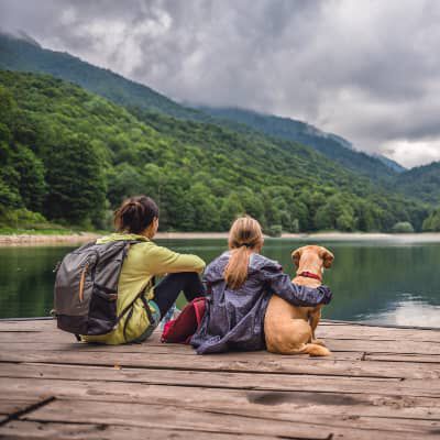 Image Link For Andare in vacanza con il cane