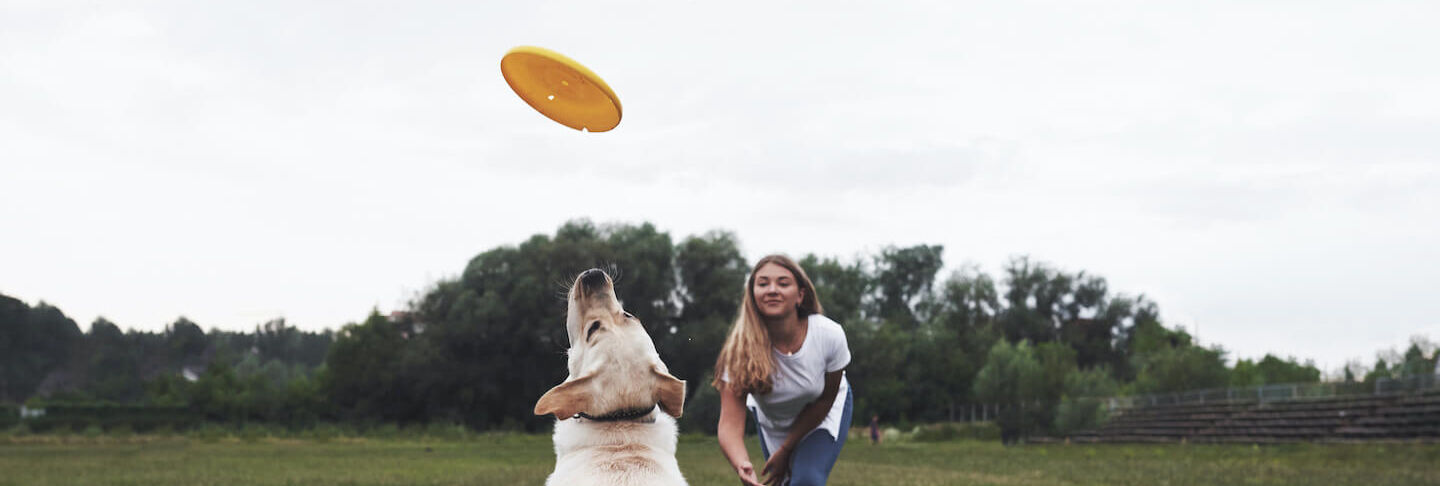 Disc Dog