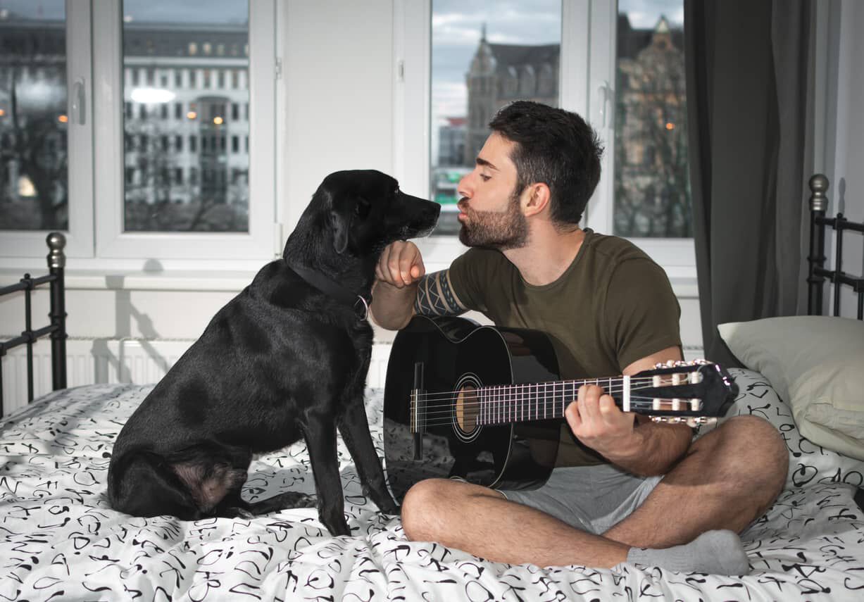 Image Link For Ai cani piace la musica?