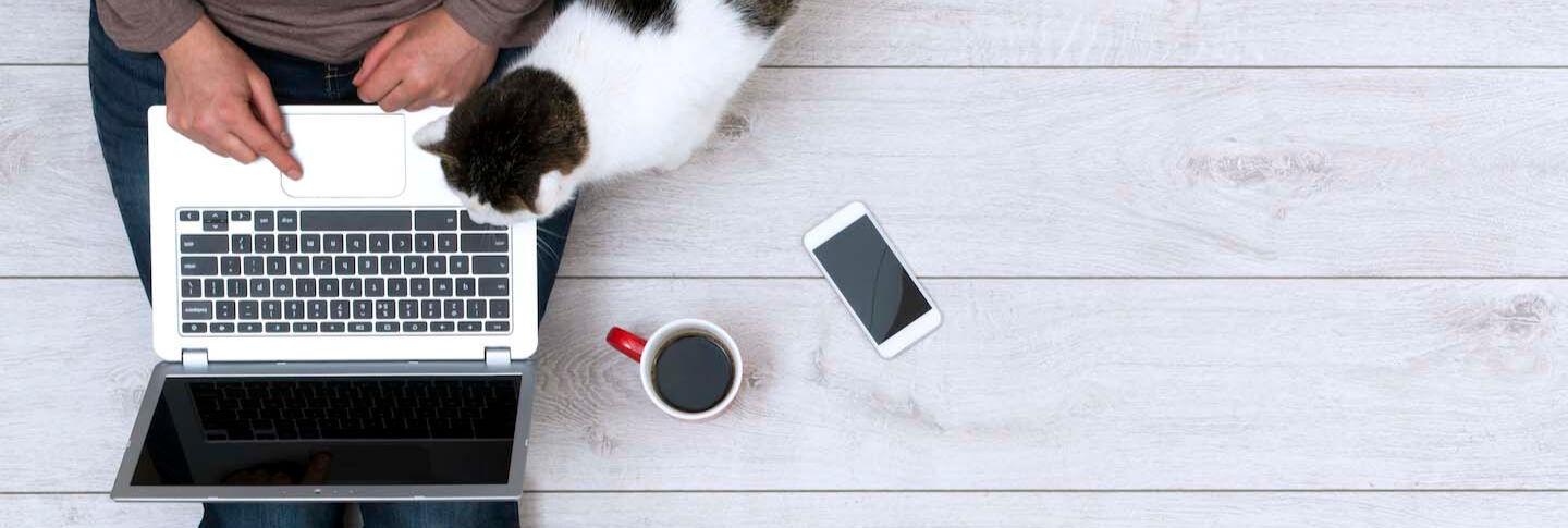 I vantaggi di avere un gatto in casa