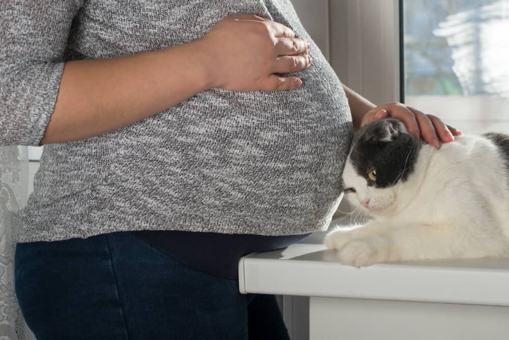 NEONATI E GATTI: REGOLE PER UNA BUONA CONVIVENZA