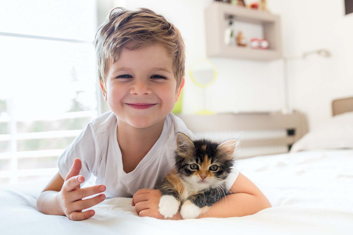 Gatto appena nato: dal primo giorno al primo anno di vita