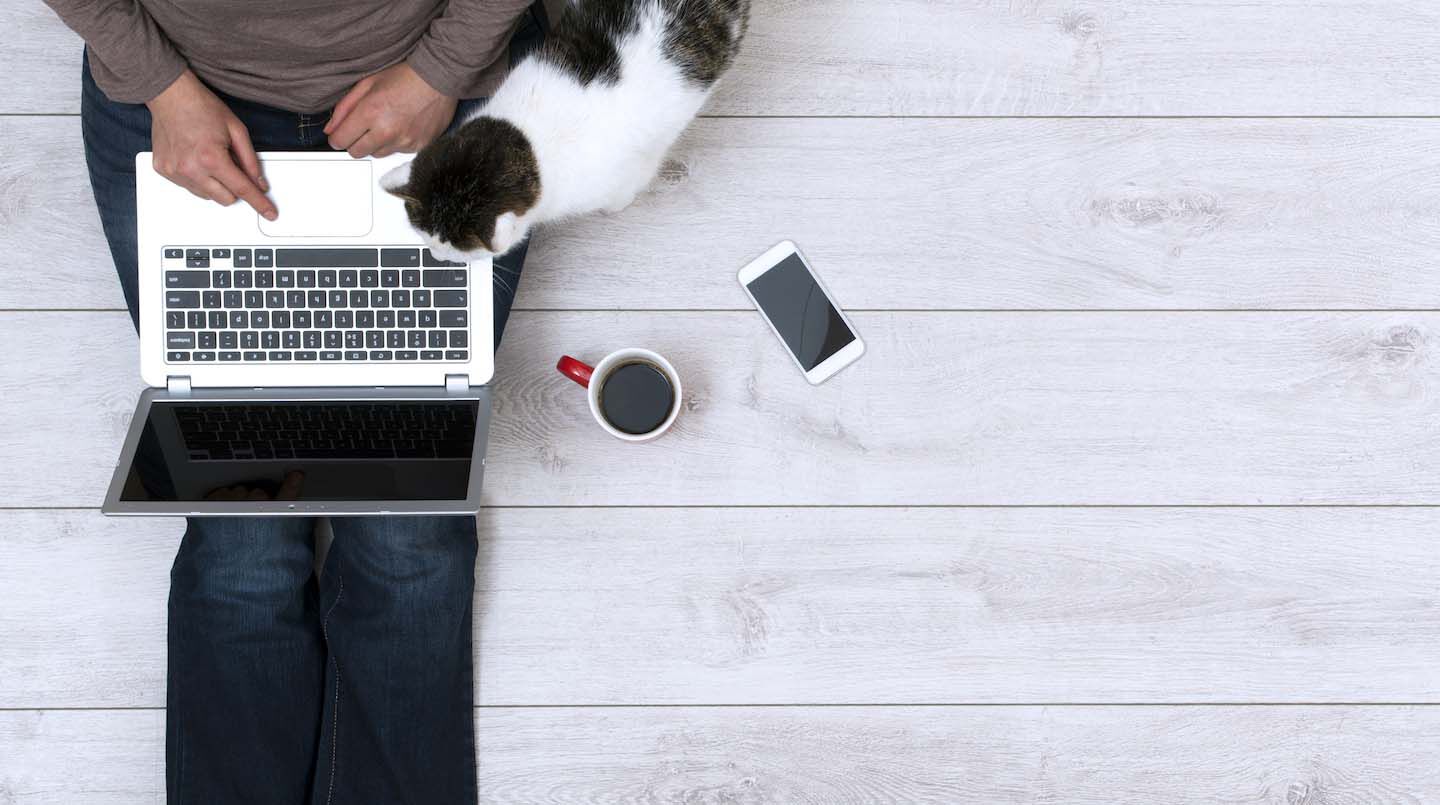 I vantaggi di avere un gatto in casa