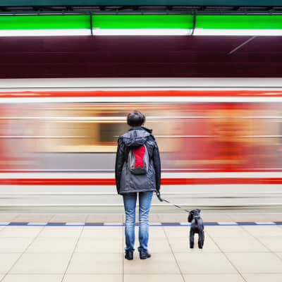 Image Link For Regole e consigli per viaggiare in treno con il tuo cane