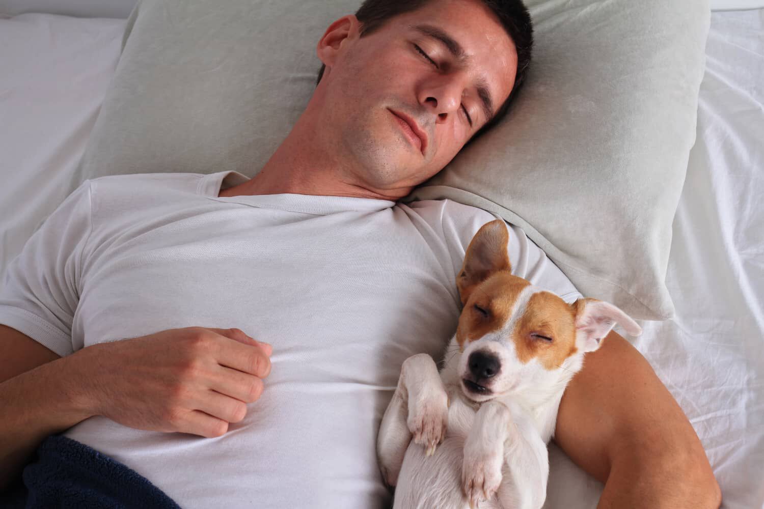 Dormire con il cane s&igrave; o no? 