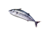 Con Pesce Azzurro