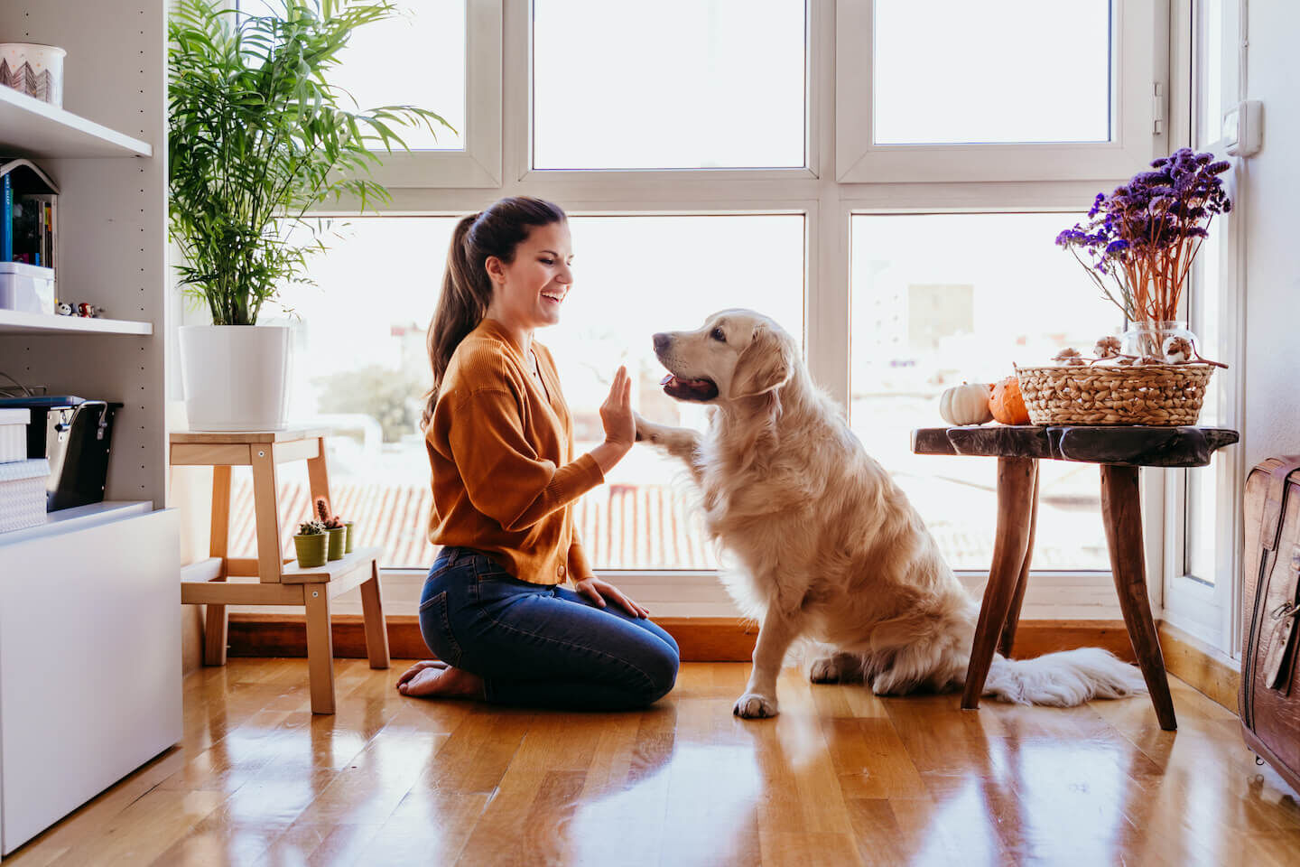 Cosa ti dice il tuo cane?