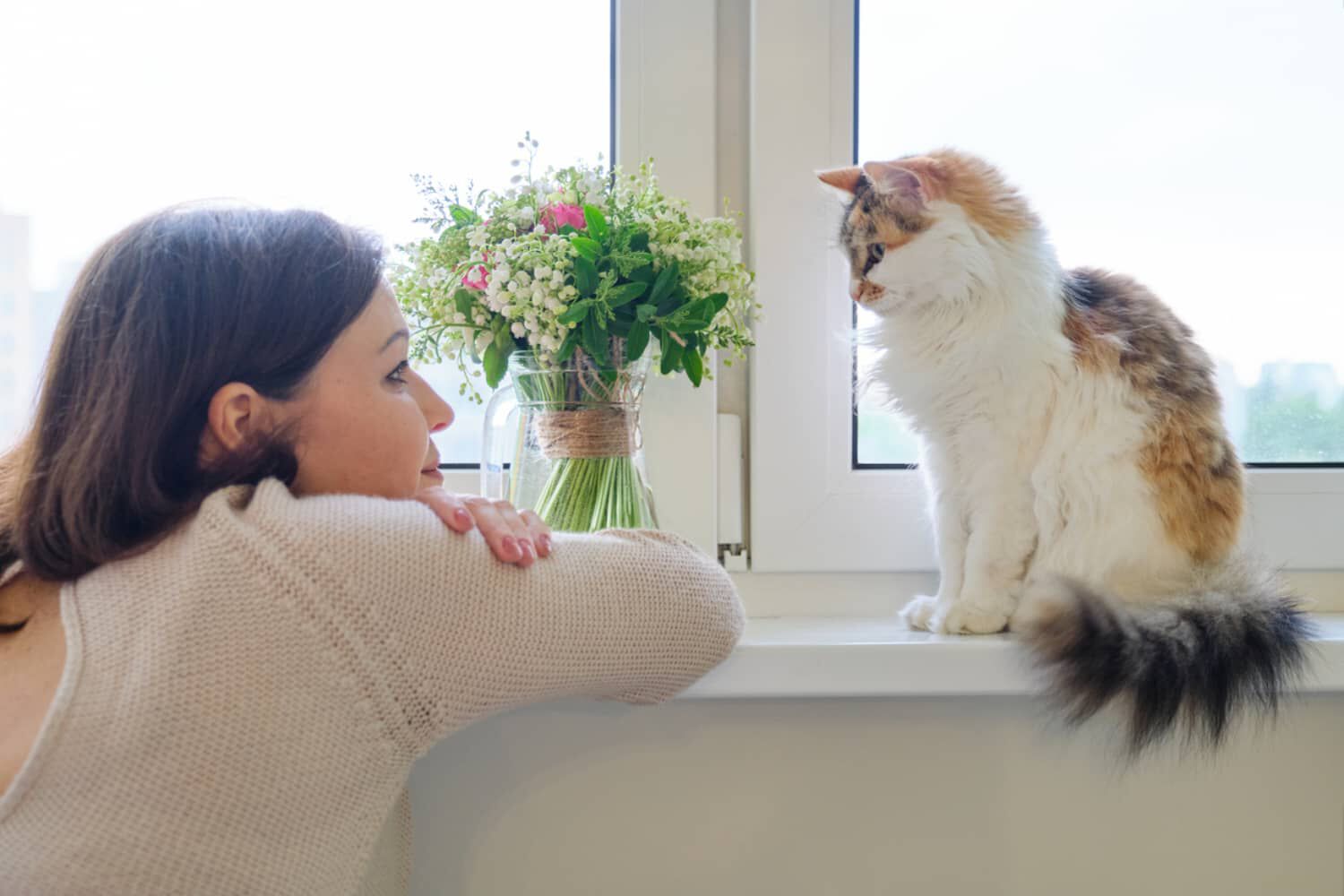 COME IL GATTO VEDE IL PADRONE&nbsp;