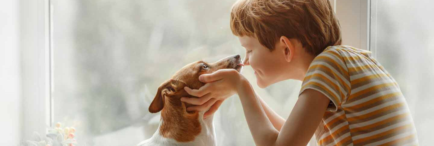 Perros para ni&ntilde;os: &iquest;cu&aacute;les son los mejores?