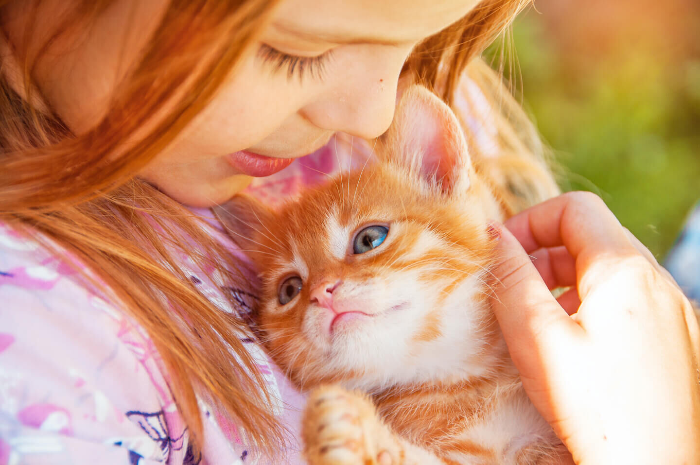 L&rsquo;arrivo a casa di un gatto: cosa sapere