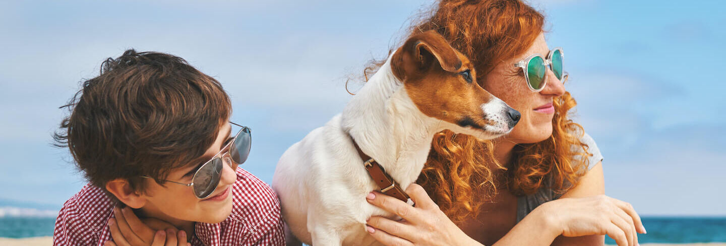 In spiaggia col cane: divertimento assicurato