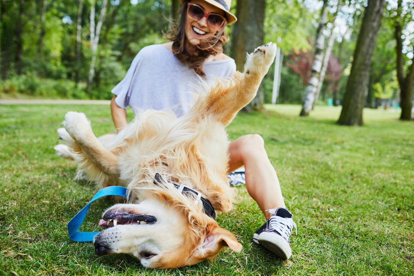 Los beneficios de tener un perro