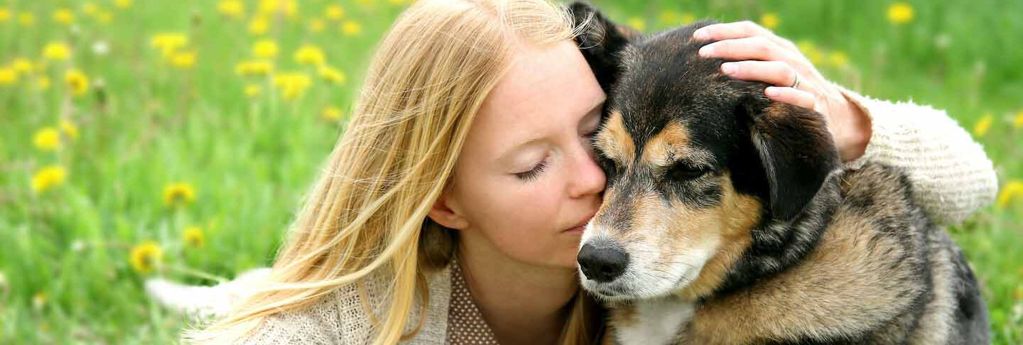 Cuidados de los perros mayores