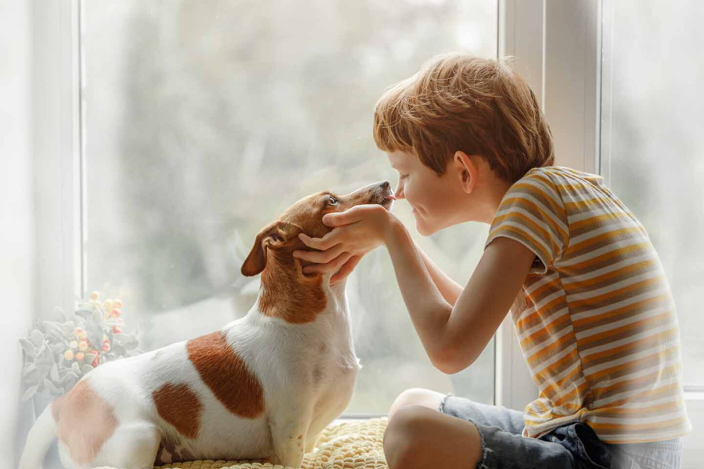 Dogs are that are suitable for children: which are the best ones?