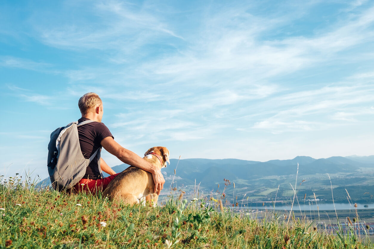 Vacanza con il cane in montagna: tutto quello che devi sapere 