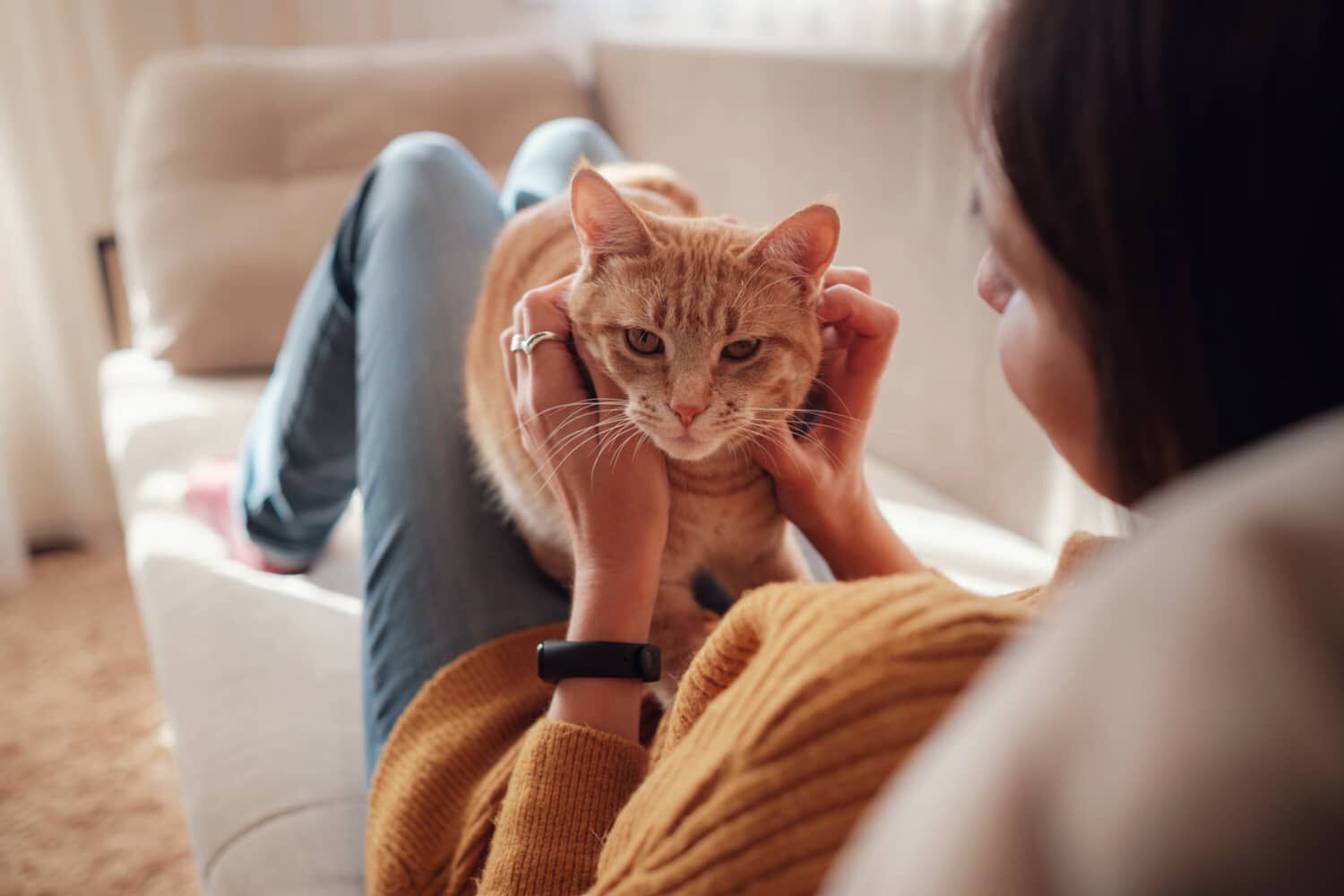 I GATTI SOFFRONO IL SOLLETICO?