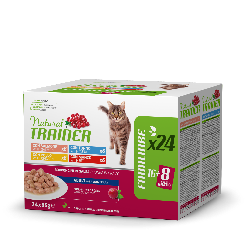BOCCONCINI ADULT MULTIPACK X24 4 FLAVOURS