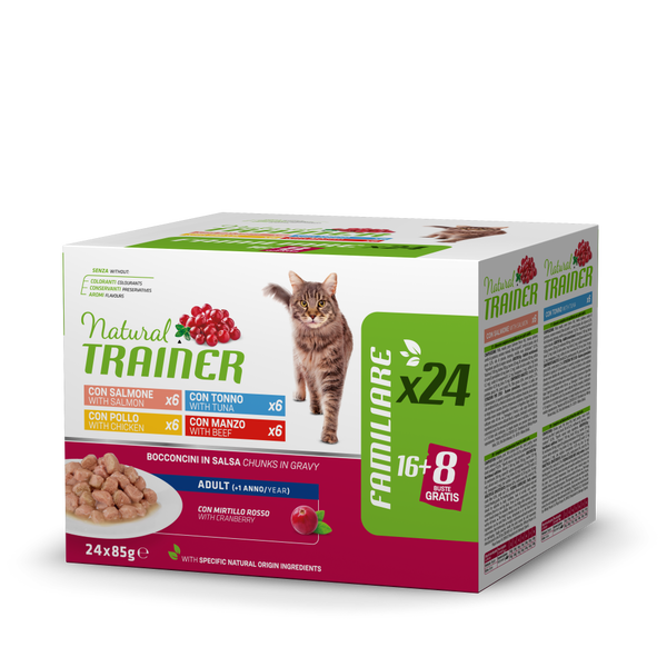 BOCCONCINI ADULT MULTIPACK X24 4 FLAVOURS