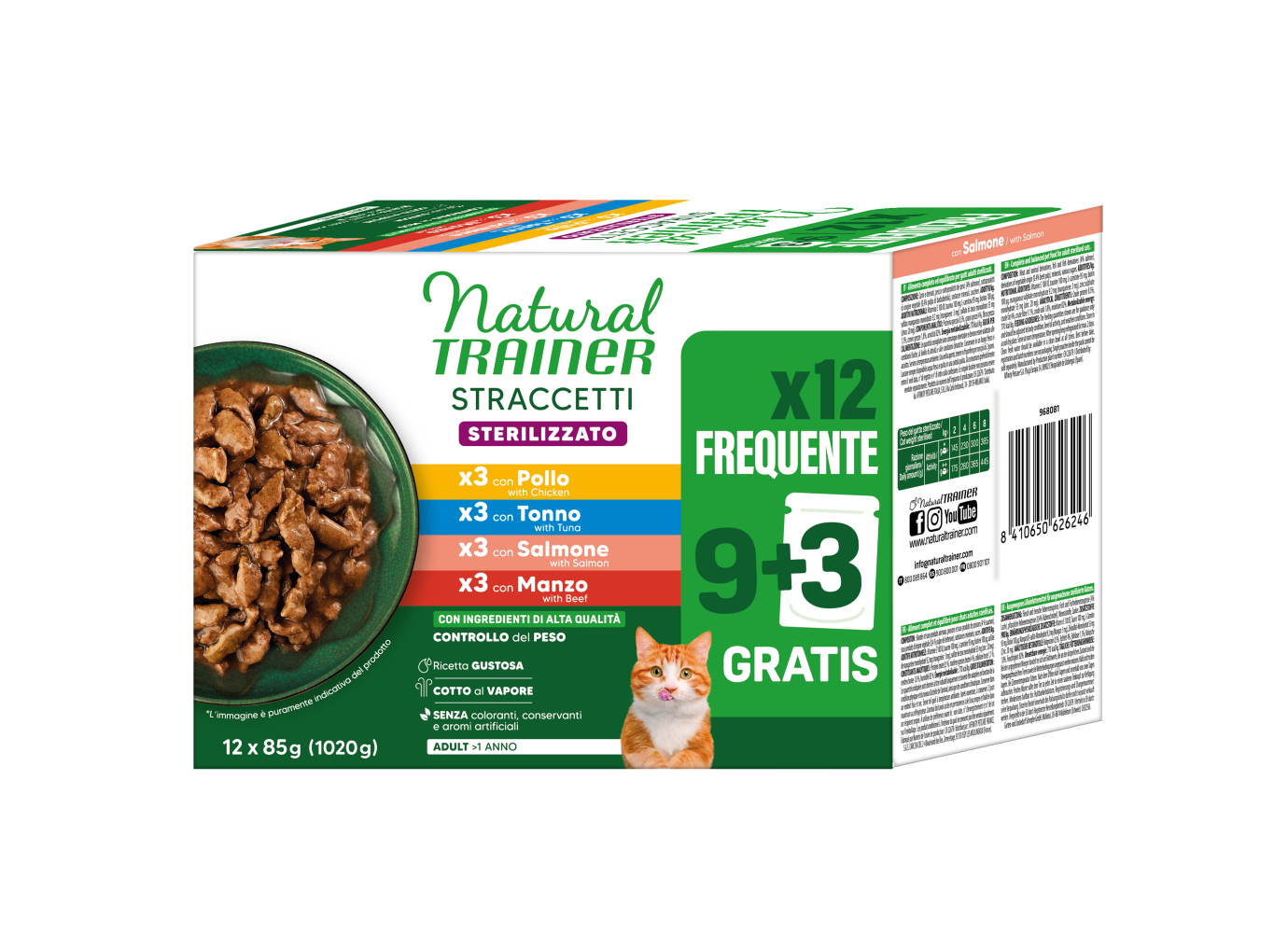 STRACCETTI STERILISED MULTIPACK X12 WITH CHICKEN, SALMON, TUNA AND BEEF