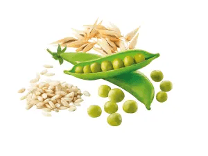 With not refined cereals as brown rice, barley and oats