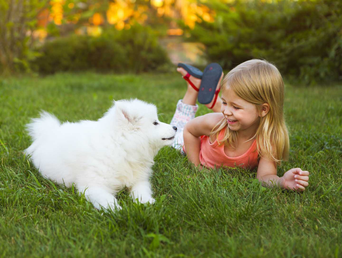 Dogs are that are suitable for children: which are the best ones?