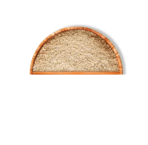 Nucleotides from Yeast