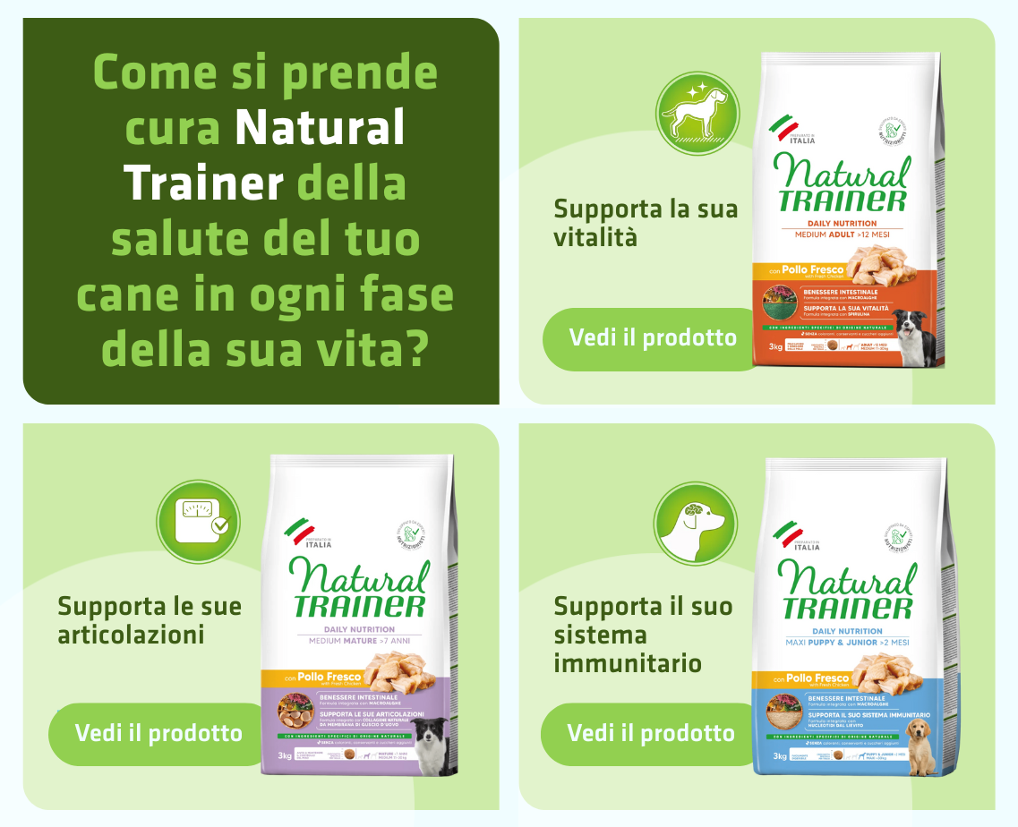 Banner productos gato