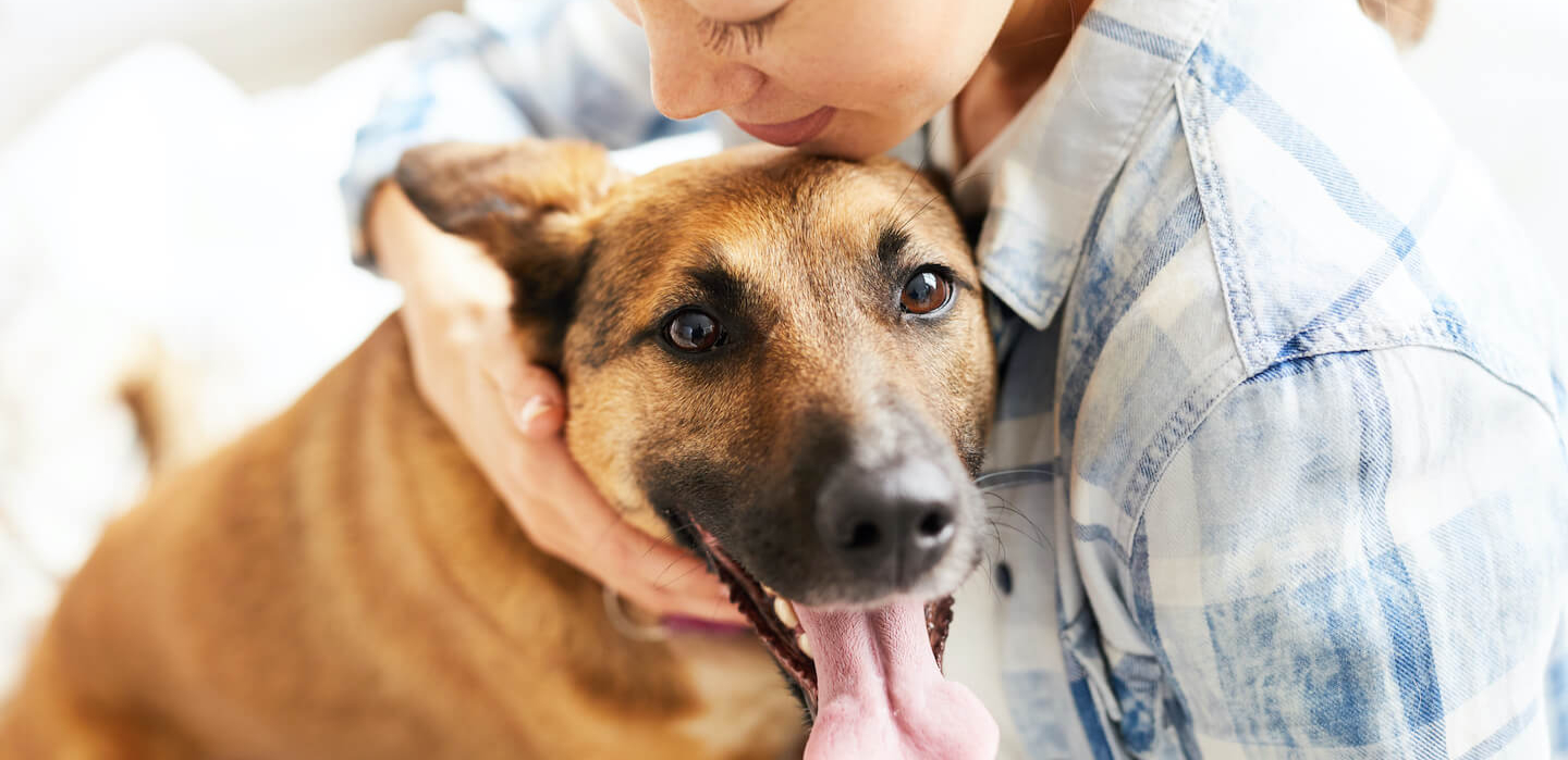 Come educare un cane