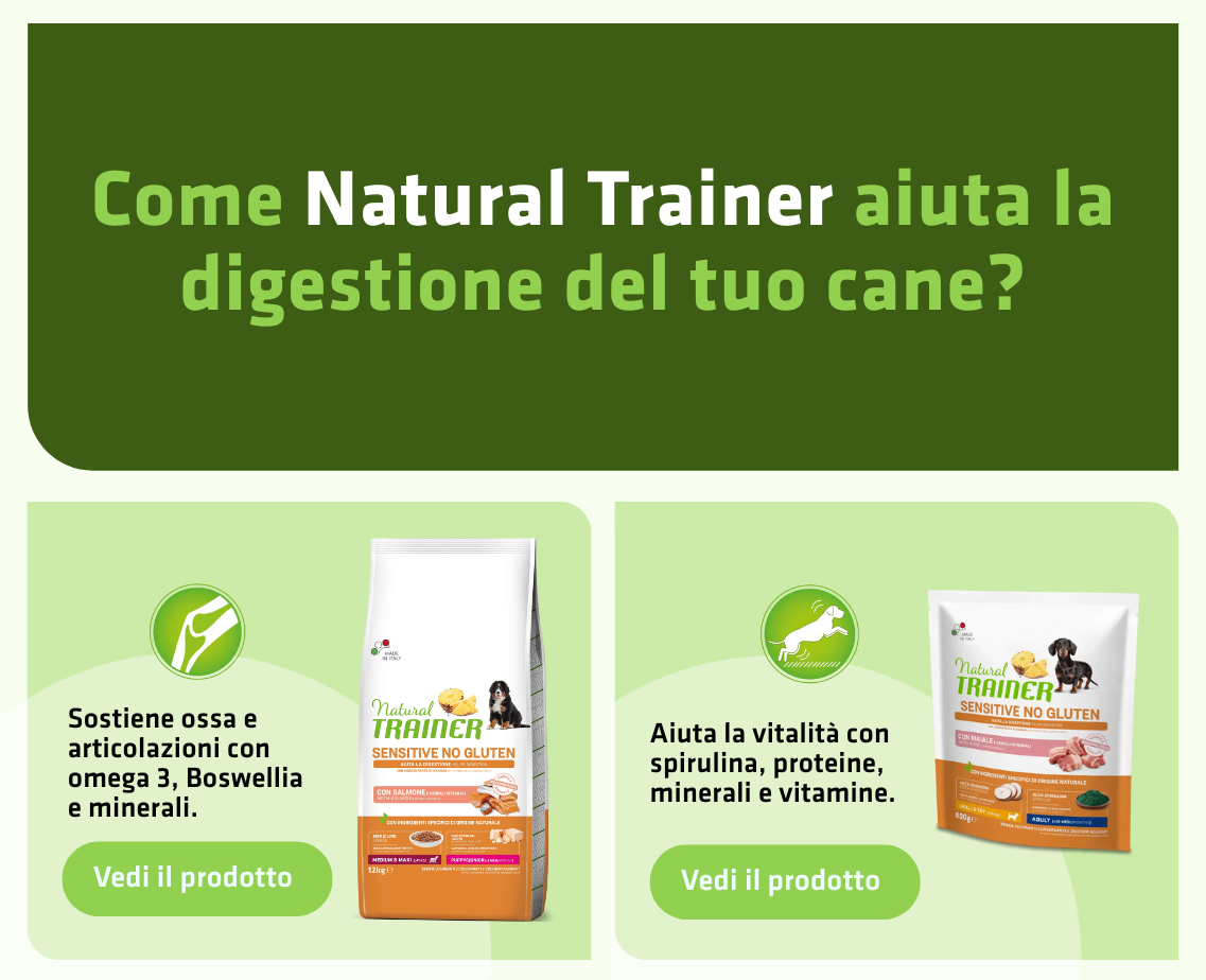 Banner productos gato