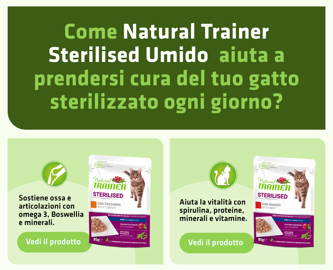 Banner productos gato