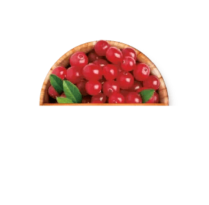 Cranberry