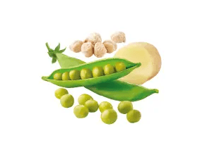 With potatoes, peas and chickpeas