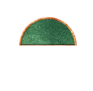 Espirulina