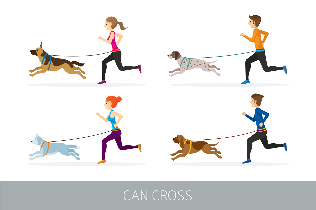 Canicross: keeping fit and creating a close relationship