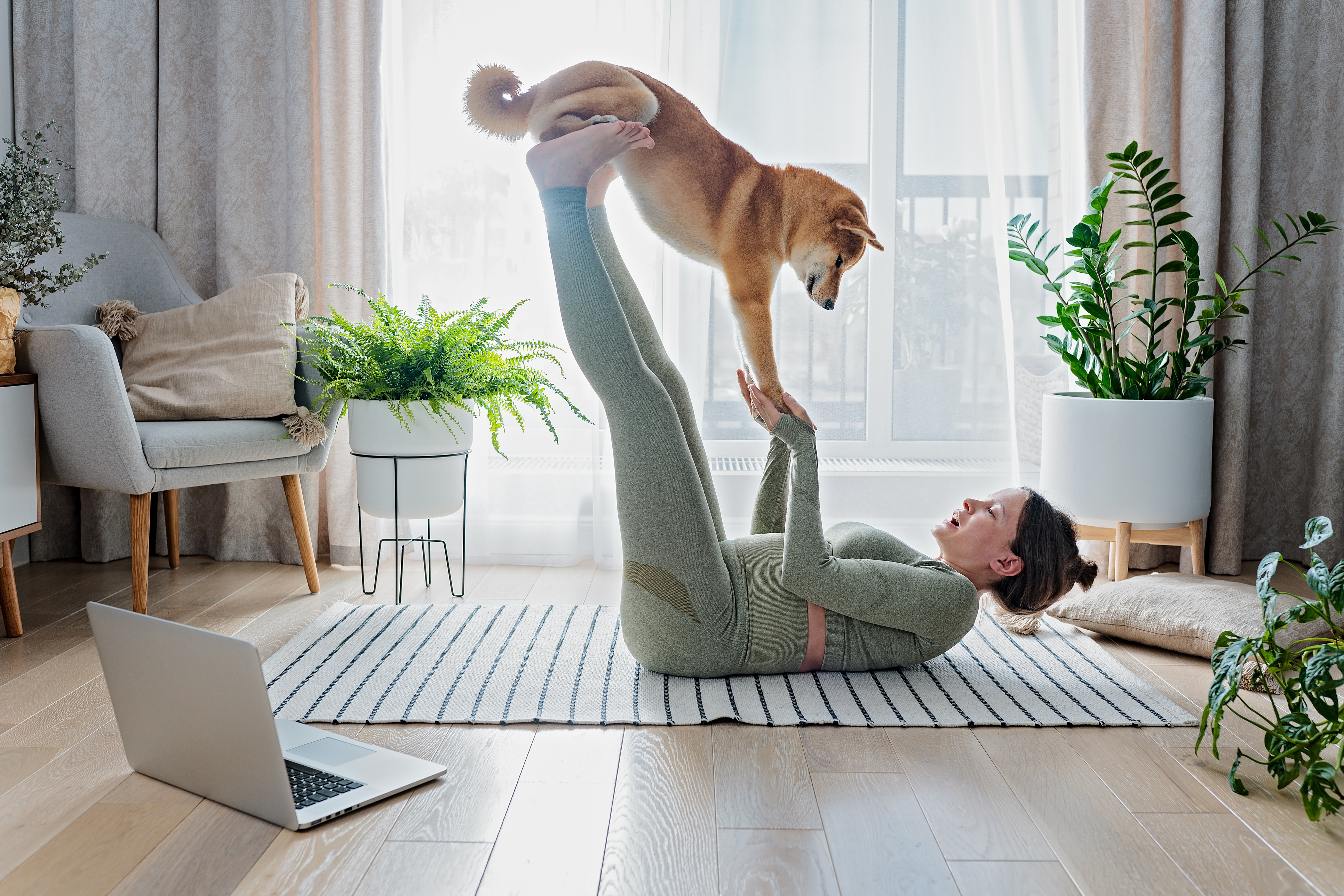 IL DOGA, YOGA PER I CANI: COS’ E’ E COME SI FA
