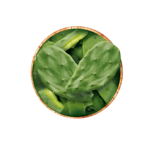 Concentrado de hojas de tuna