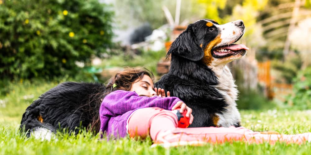 La pet therapy con i cani: razze maggiormente utilizzate, benefici e a chi è diretta