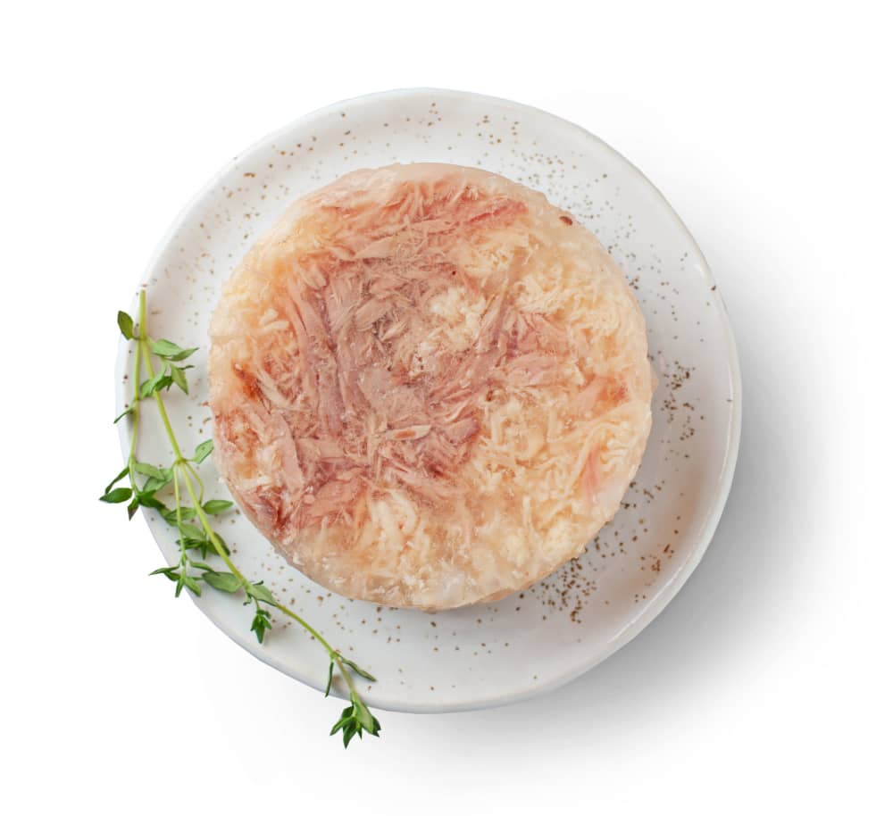 SI PUÒ DARE IL TONNO AL CANE?