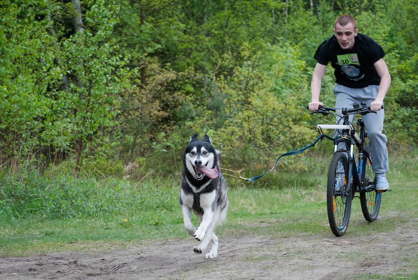 Bikejoring: uscire in bici con il proprio cane