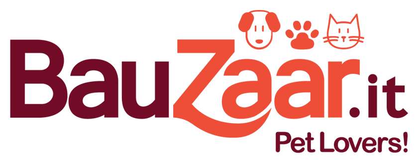 BAUZAAR